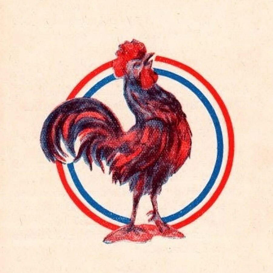 Страна символ петух. Галльский петух Франции. Галльский петух символ Франции. Le coq символ Франции. Неофициальный символ Франции галльский петух.