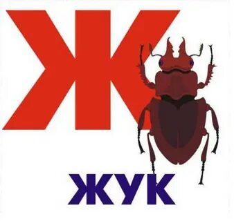 Ж жук