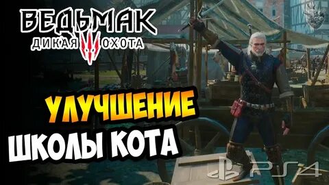 Улучшение кота