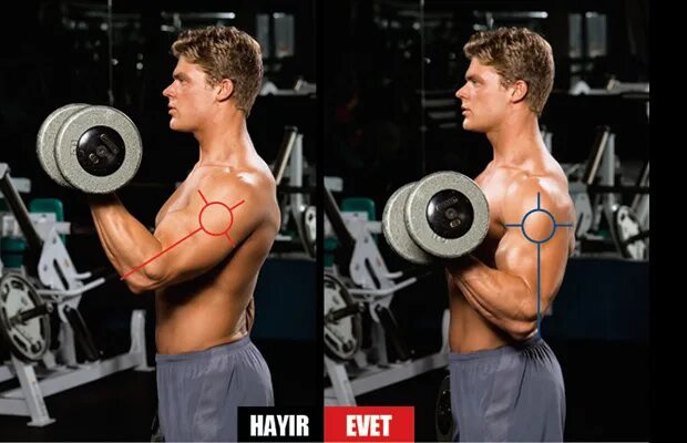 Бицепс на скамье скотта. Амплитуда бицепса. Подъем гантелей на бицепс в скамье скотта. Занятия с гантелями на бицепс. Упражнения на амплитуду движений.