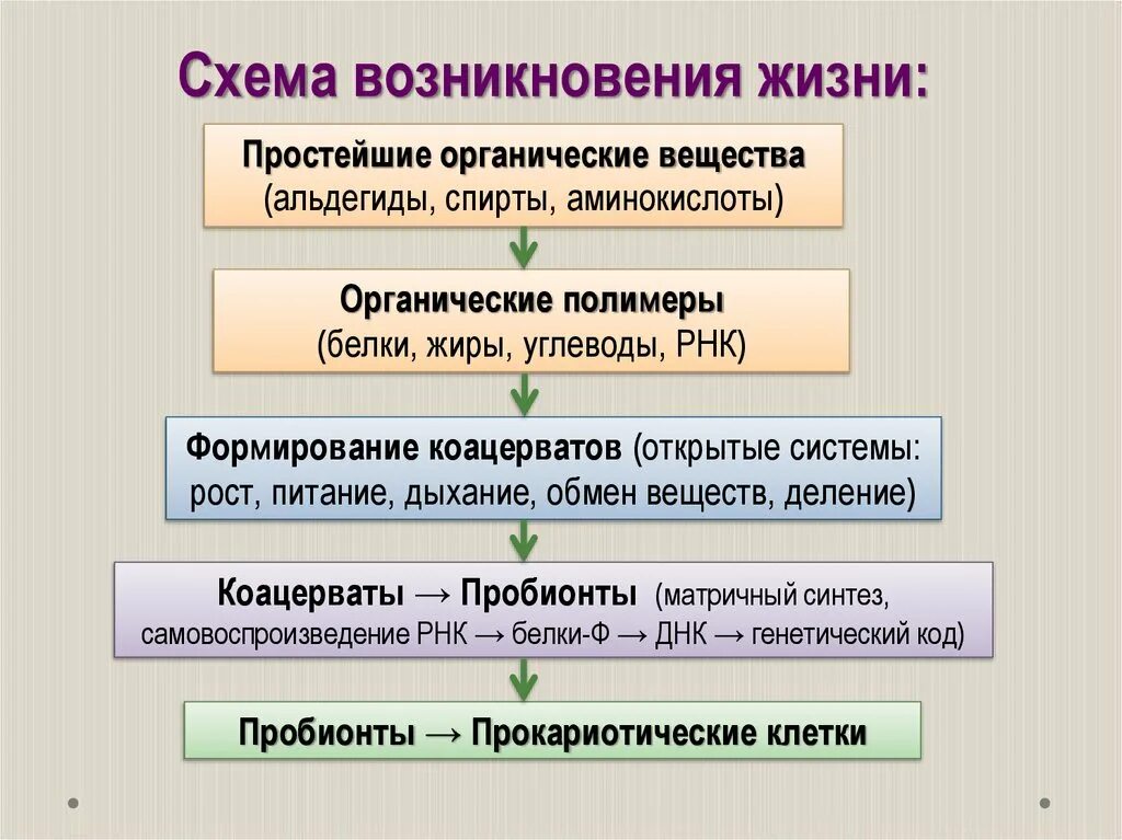 Представление о возникновении жизни в истории естествознания. Схема возникновения жизни. Этапы возникновения жизни на земле. Схема гипотезы возникновения жизни. Гипотезы происхождения жизни схема.