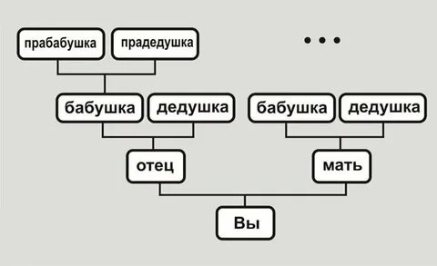 Линии род