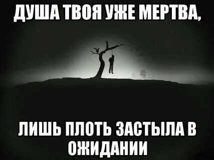 Твое лицо твоя жизнь