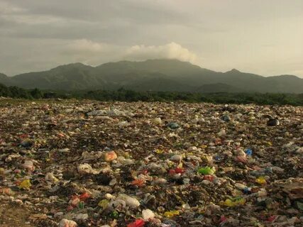 People do more for the environment
