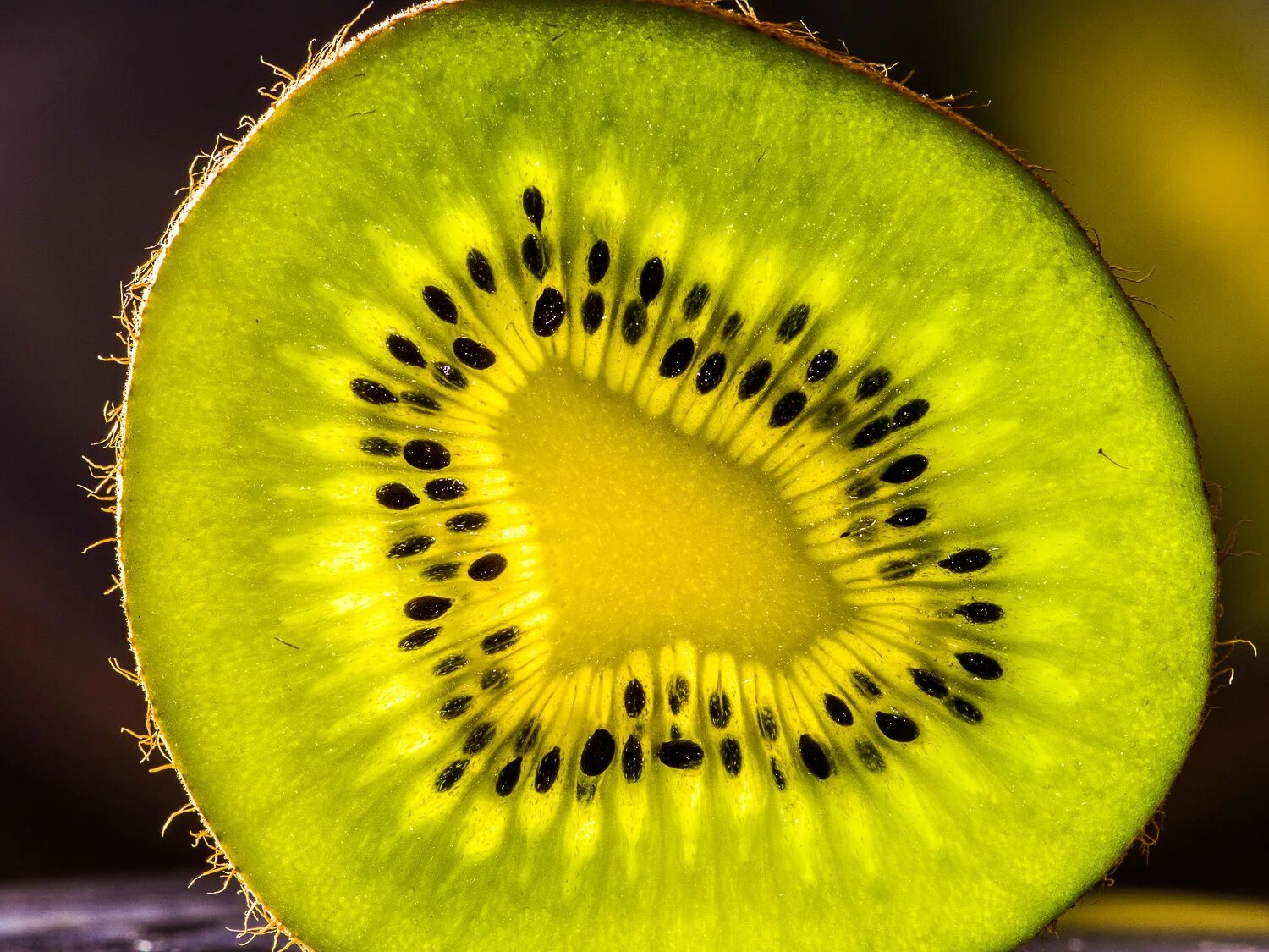 Киви и лимон. Киви лайм мандарин лимон. Киви лайм. Цитрусовые фрукты, кокос, ежевика, киви. Лайм лимон апельсин мандарин.