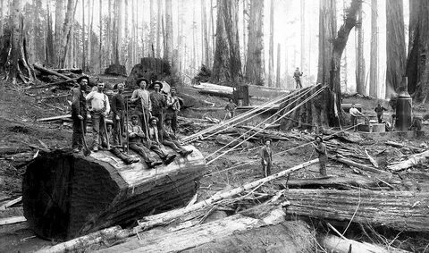 Logging 10 000 years