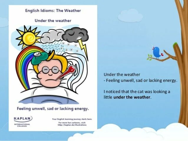 Feeling under the идиома. Идиома weather. Идиомы с weather. Under the weather идиомы. Идиомы о погоде.