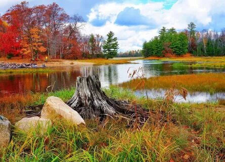 Красота осеннего пейзажа