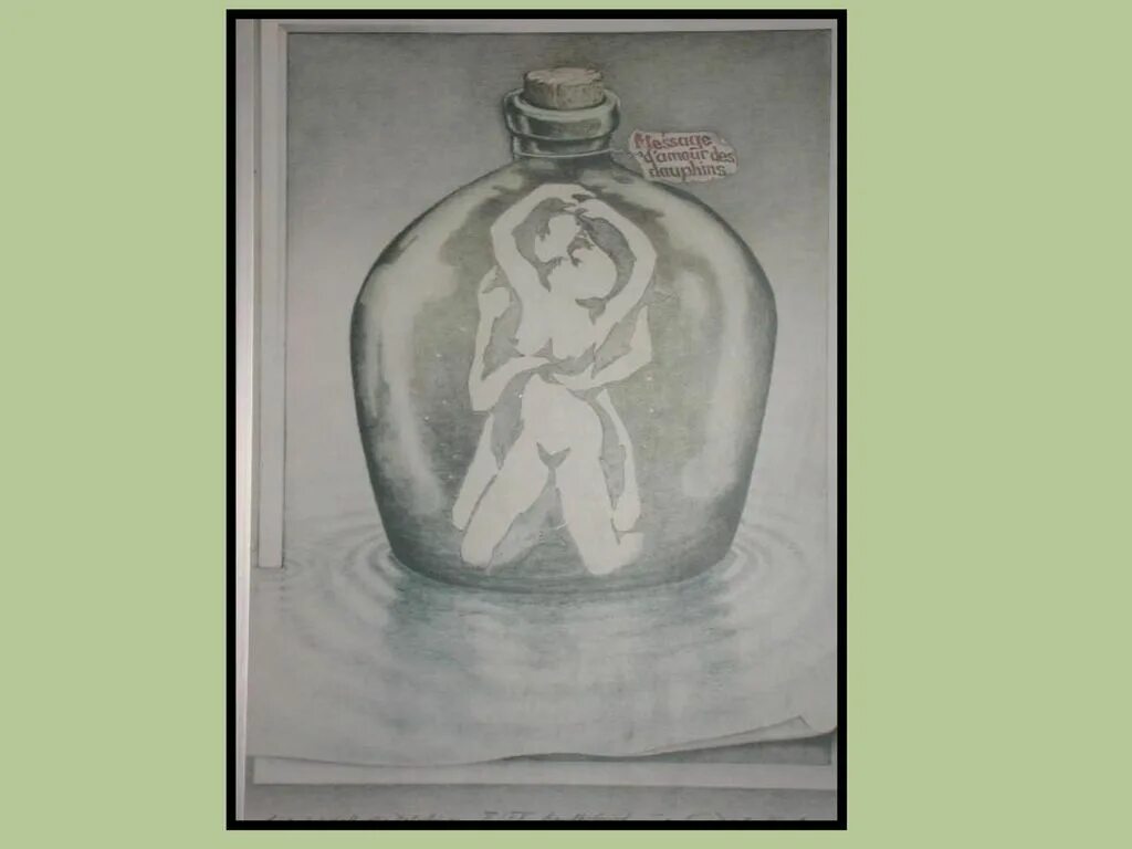 тест картинка с двумя дельфинами. тест картинка с двумя дельфинами. ваза с дельфинами. иллюзия дельфины или пара. бутылка с дельфинами.