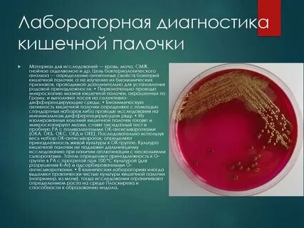Кишечная палочка выделяет