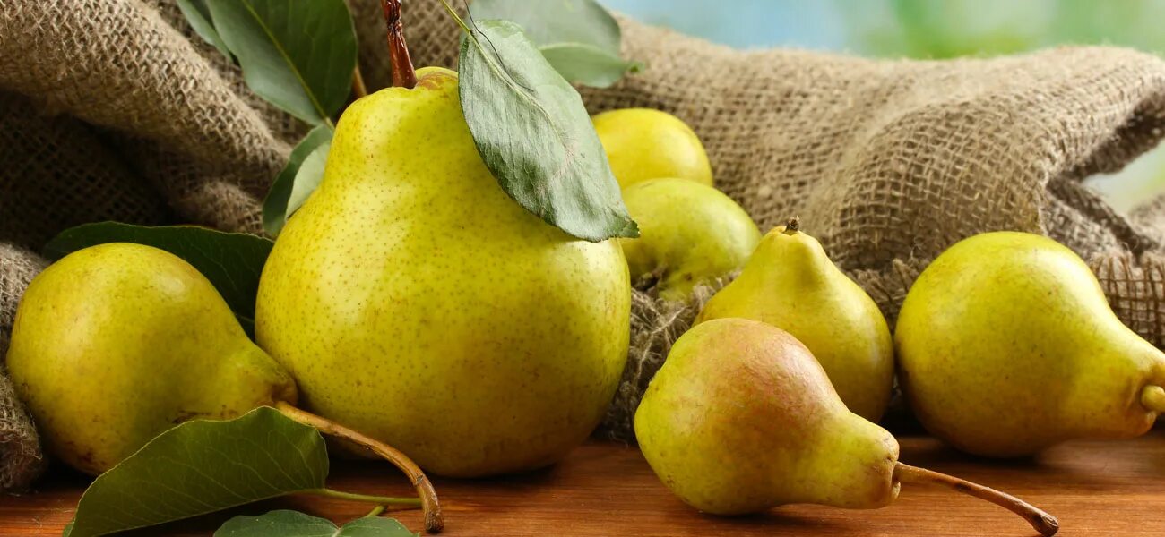 Fresh pear. Груша Завея. Сорт груши богатая. Груша маслянистая. Груша летняя.