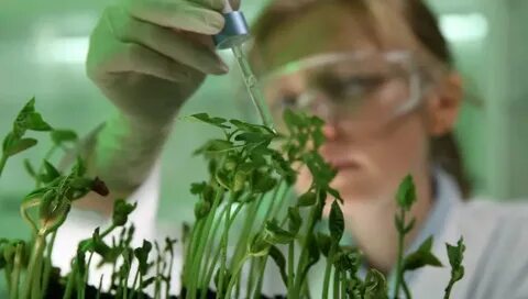 Plant biology