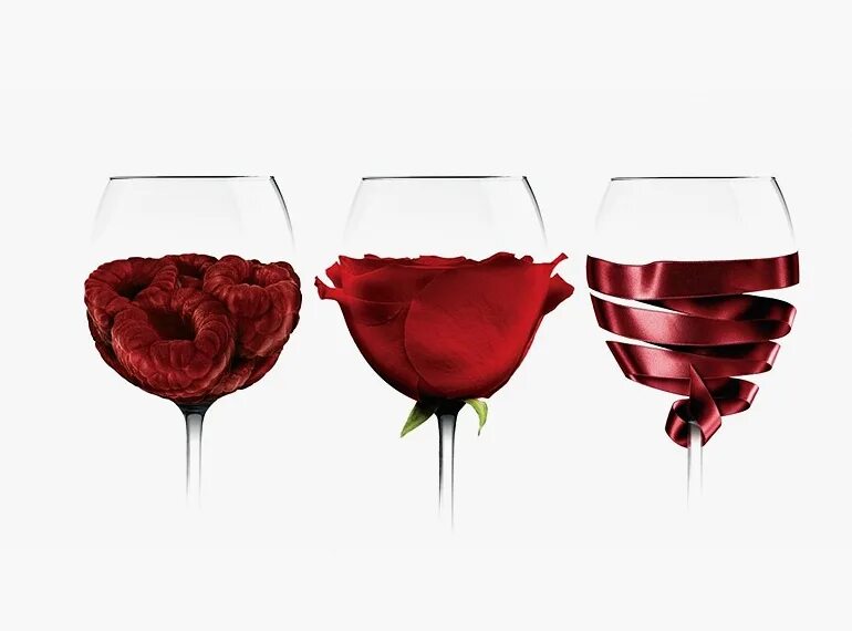 Симпл вайн дегустации. Промо вино. Wine behance. Дегустация вина в нижнем новгороде. Simple wine логотип.