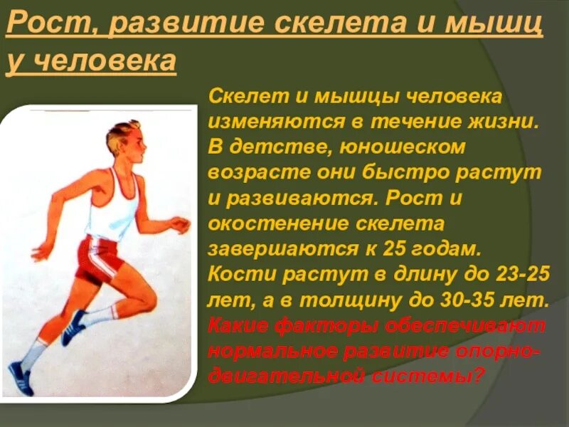 Формирование мышц. Влияние физических упражнений на мыш. физические упражнения для формирования скелета и мышц. значение физических упражнений для формирования скелета и мышц. важность физических упражнений.