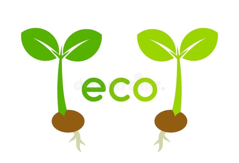 Eco plant. Значок эко. Эко растения. Рассада иконка. Изображение растения в эко.
