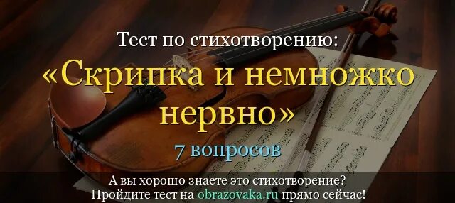 Стих про скрипку. Скрипка и немножко нервно. Скрипач стихотворение. Стихотворение о скрипке.