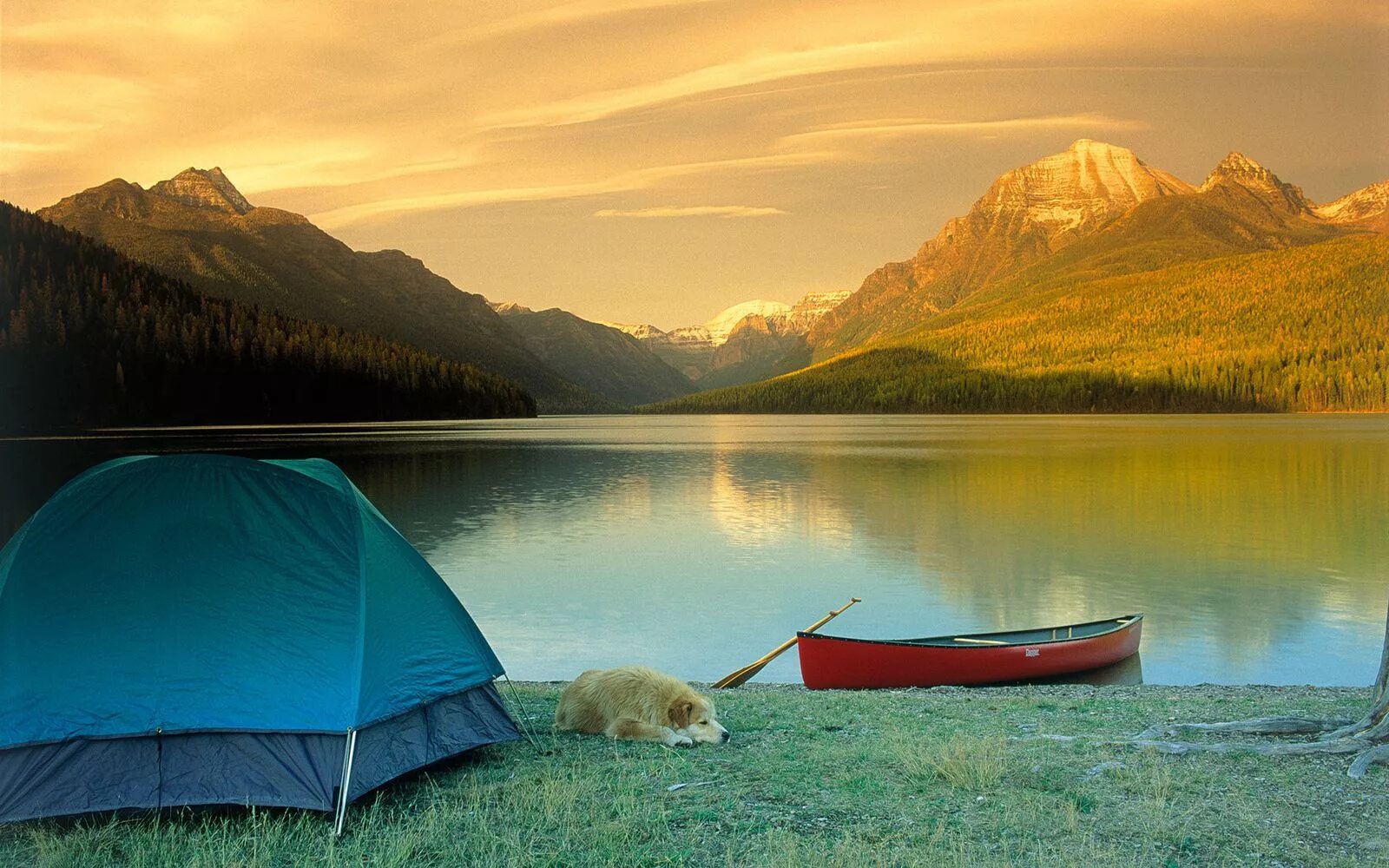 I love camping. Палатка на берегу реки. Палатка у озера. Палатка на природе. Палатка на берегу озера.