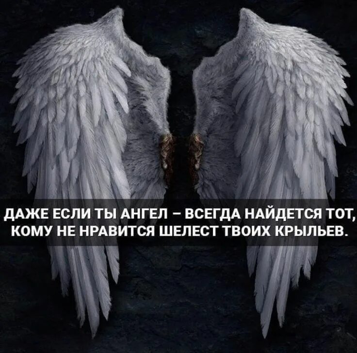 Ангелы всегда. Цитаты про Крылья. Фразы про Крылья. Высказывания про Крылья за спиной. Цитаты про ангелов.