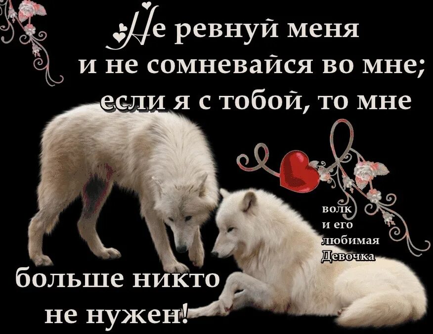 Стих я ревную тебя. Ревность открытки. не ревнуй меня я люблю тебя. я тебя люблю не сомневайся. не ревнуй и не сомневайся во мне.