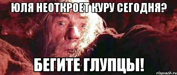 Властелин колец бегите глупцы. Бегите глупцы. Пеките блинцы гэндальф. Бегите глупцы мем. Гэндальф бегите глупцы.