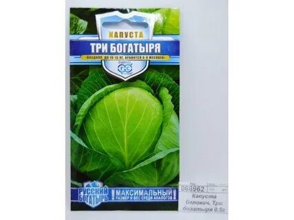 Сорт капусты три богатыря