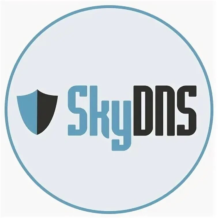 Скай днс. SKYDNS. SKYDNS лого. Контентный фильтр SKYDNS. Интернет фильтр SKYDNS.школа.