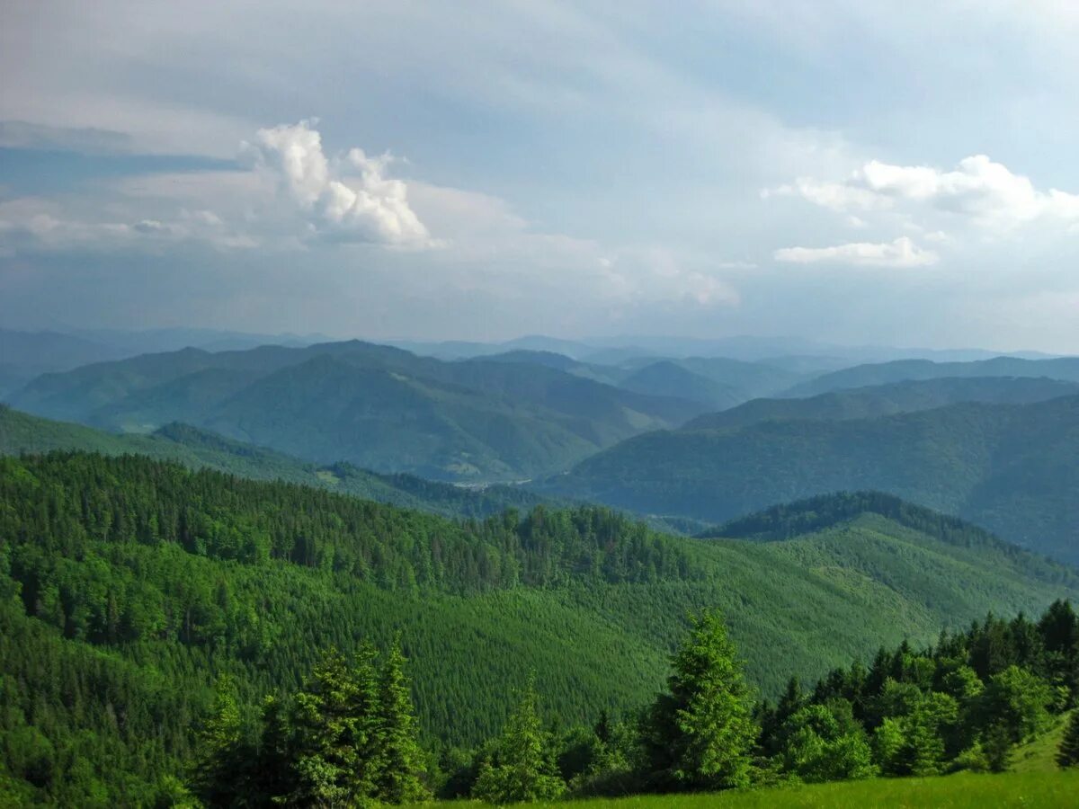 Полесье карпаты. Карпатская русь. Мифология карпатских гор. Охотники за привидениями 2 князь виго. Охотники за привидениями 2 виго карпатский.