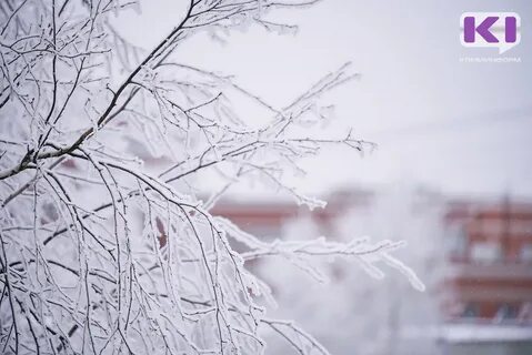Давай январь