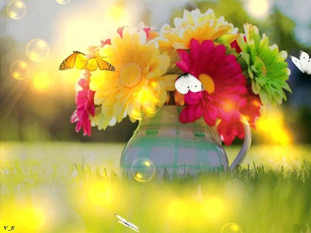 Весь день под ярким и теплым солнцем. Летние цветы. Цветы солнечное настроение. Солнечные цветы букет. Яркие солнечные цветы.