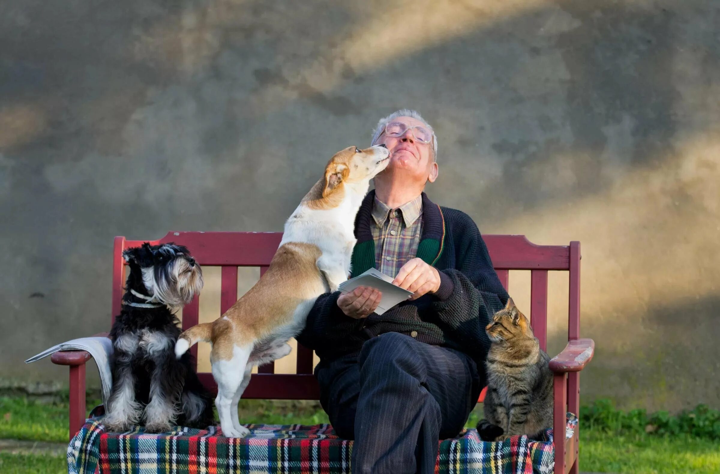 Пожилая женщина с собакой. Человек с домашним Живон. Человек с кошкой и собакой.