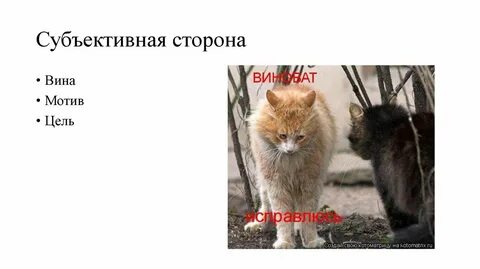 Мотив вины