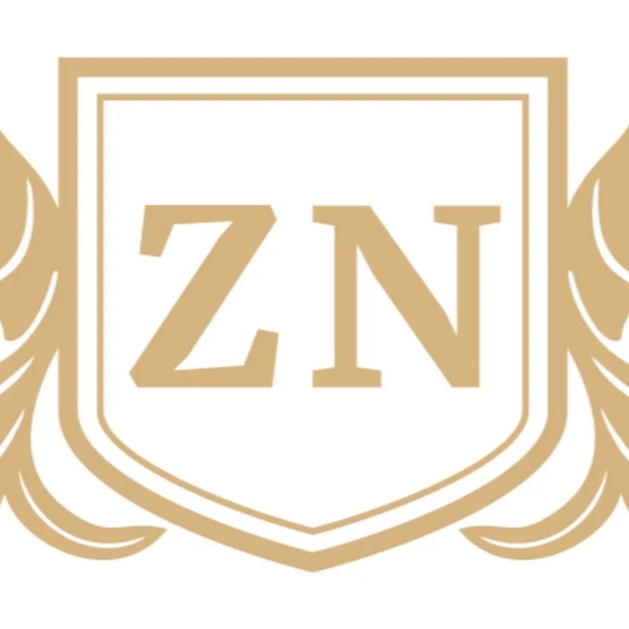 Zn z. Логотип zh. Лого ZN. ZN красивый логотип. Логотип с буквой n.