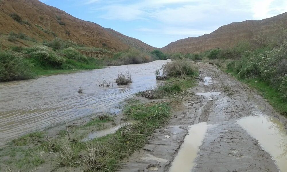 Река тон. Река тон. Река квай крокодилы. Тонегава река. Река тонегава в японии.