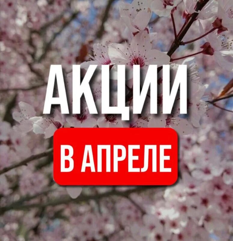 гиппократ михайловск медицинский центр