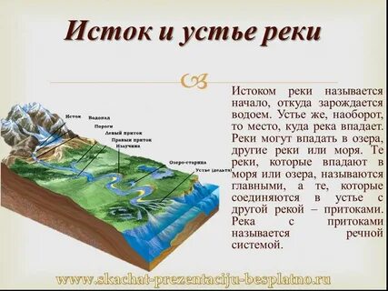 Где располагается устье