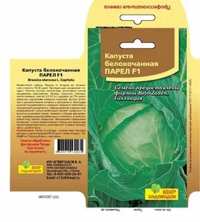 Капуста парел описание