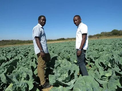 Most of africa s rural