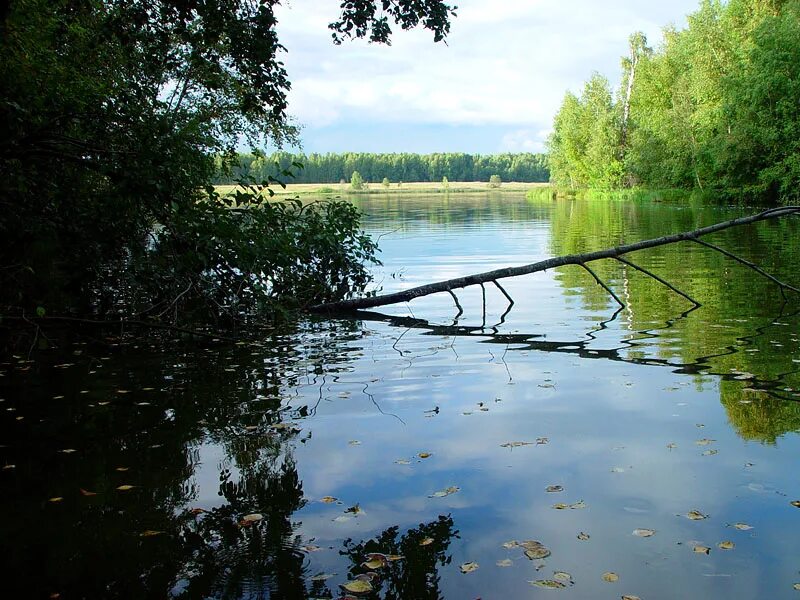 Подъезжать к водоему