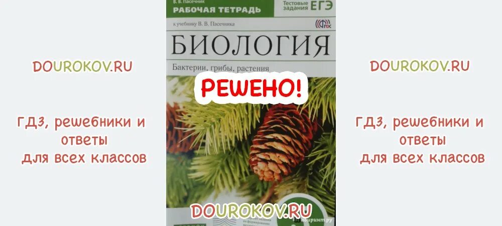 Биология пятый класс пасечник. Гдз по биологии 5 класс рабочая тетрадь Пасечник с шишкой.
