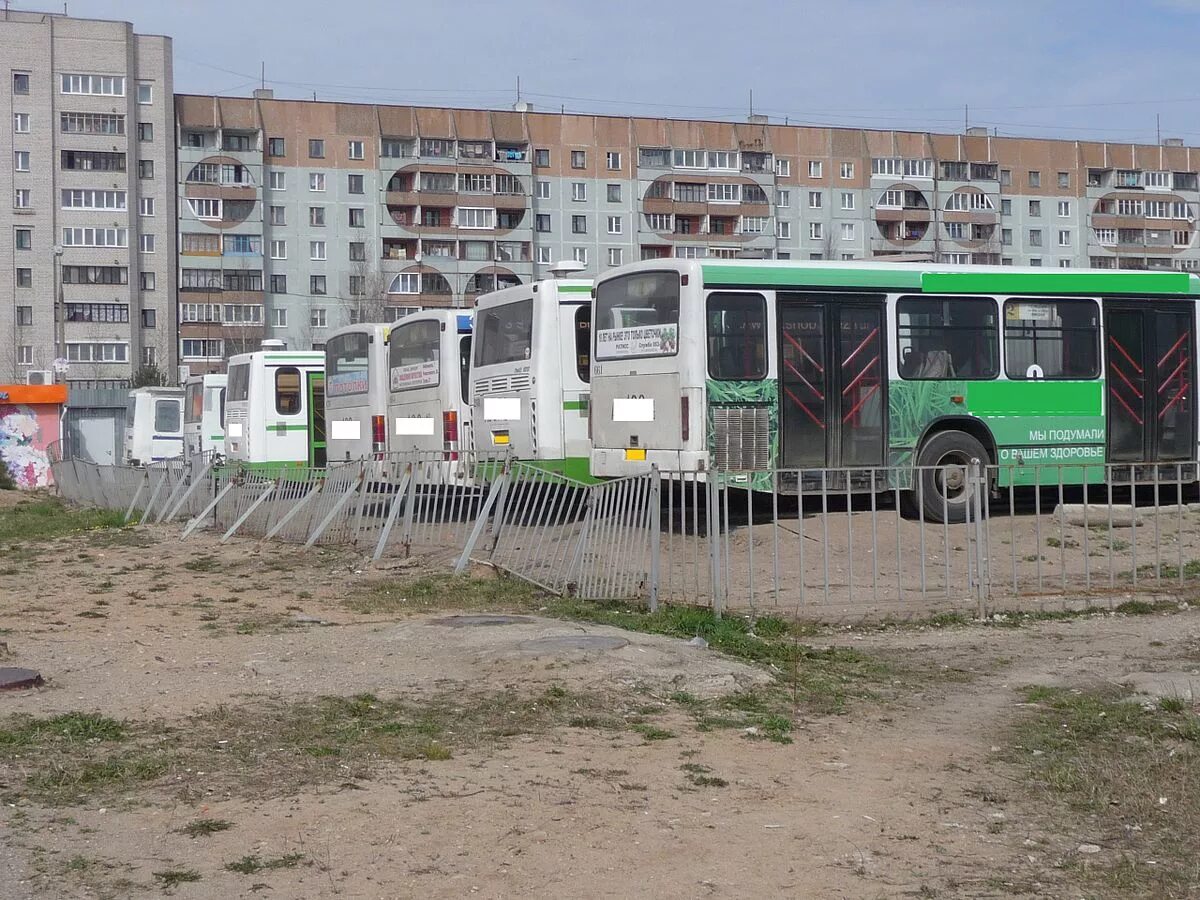 Автобус псков. Псков бус. Псков бус. Псков автобусы городские переполнены. Автобусы псков плн.