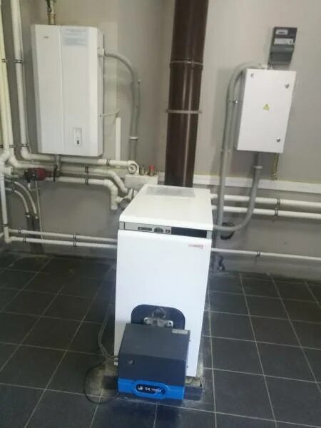 Protherm котел газовый настенный nl 50. Бизон nl. Бизон nl. Котел protherm бизон 40 nl. Комбинированный котел protherm бизон 70 nl 70.