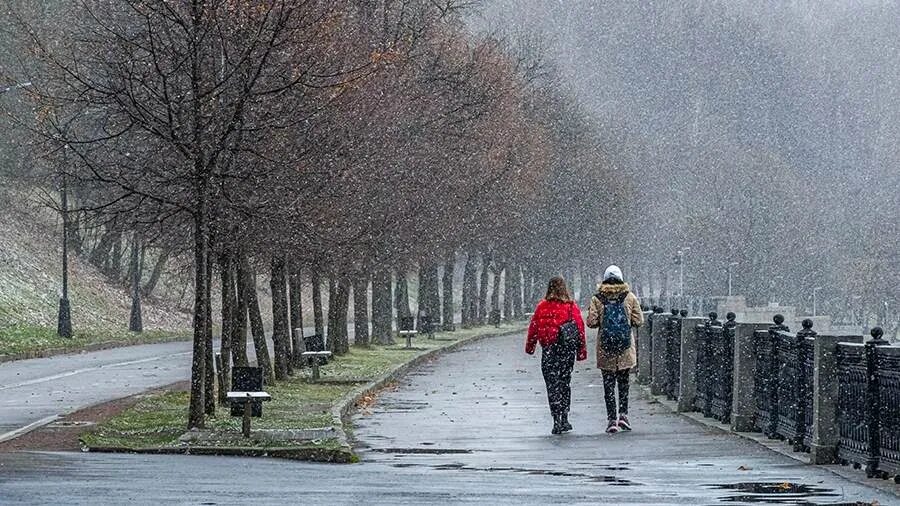 Дождь зимой. Москва дождь зимой. Ливневый дождь со снегом. Теплая зима в Москве. Погода в москве в начале апреля 2024