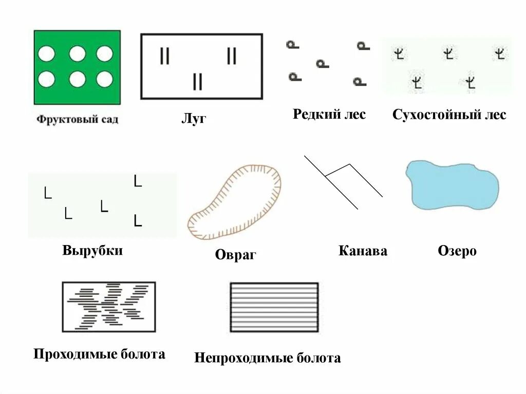 Условный знак сад. Редкий лес условный знак. Условный знак фруктовый сад. Фруктовый сад условный знак на карте. Фруктовый сад на топографической карте.