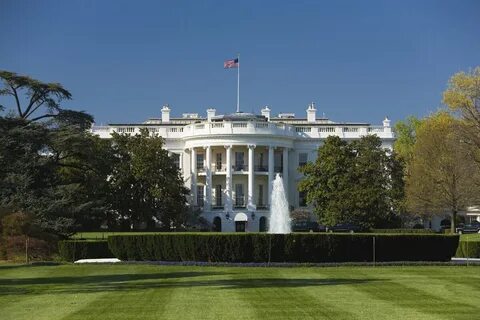 Белый цвет в сша