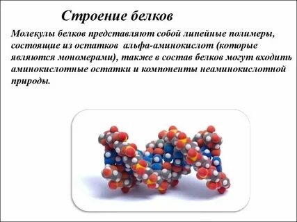 Белок в химии