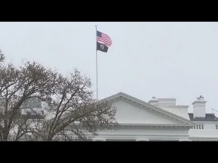 Сша 14