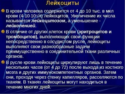 Повышение лейкоцитов что это