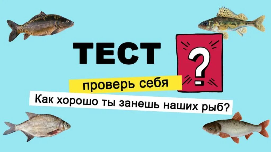 Тест на рыбу. Тест рыбы. тесты по рыбам с ответами. проверочная работа рыбы. тест с рыбками.