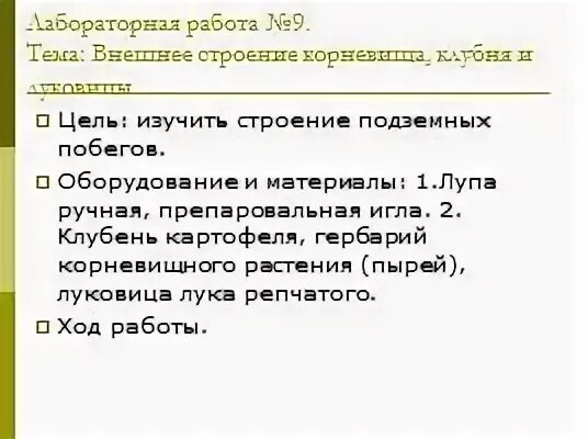 Изучить строение подземных побегов. Изучить строение подземных побегов