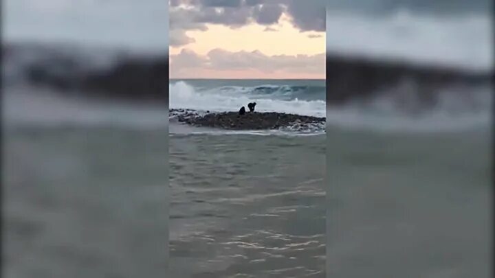 Мальчики в море лазаревское. В лазаревском мальчиков унесло в море. лазаревское море дети. мальчики в сочи унесло в море. дети в сочи на чёрном море.
